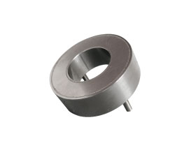 Leyuan Encupsulation Magnets